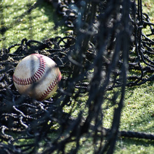 Baseball on a net