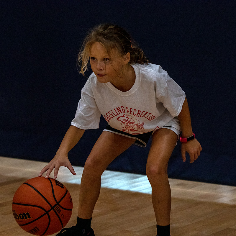 Girl dibbling the basketball